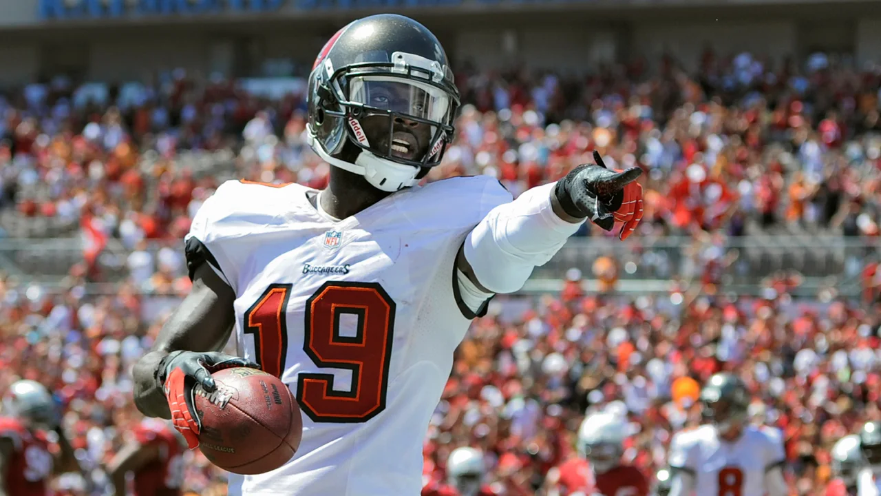 Tampa Bay Buccaneers wide receiver Mike Williams celebrates after catching a touchdown pass during an NFL football game on Sept. 29, 2013, in Tampa